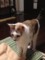 20130605121506