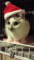 20131224094430