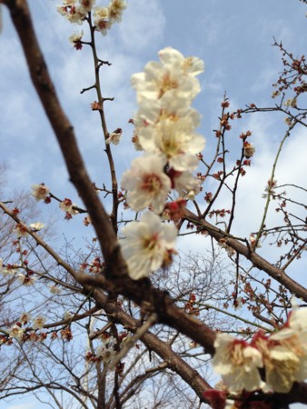 20140301094104
