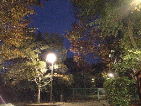 20141121192820
