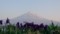 20150506194746