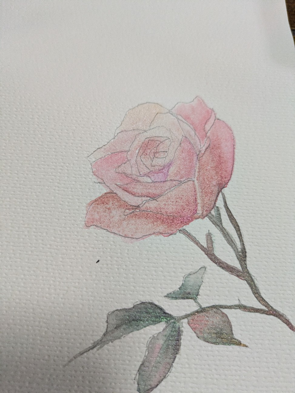 f:id:dekunobouchang:20260217212226j:image f:id:dekunobouchang:20260217212226j:image