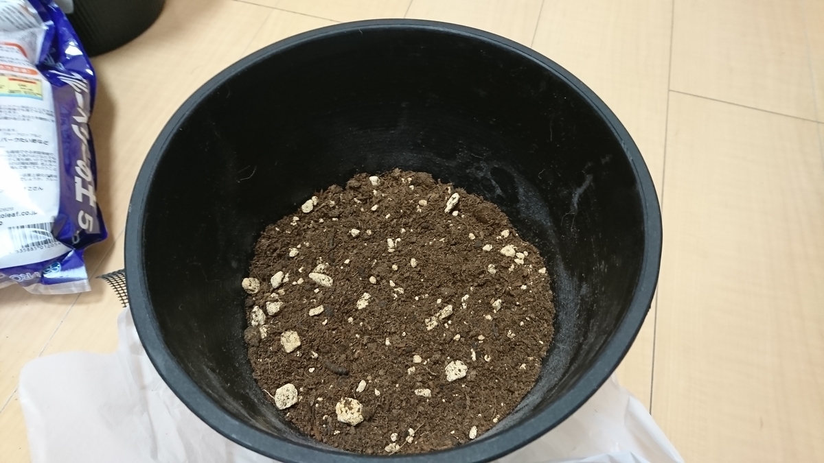 f:id:dekuo-03:20190325160732j:plain