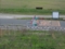20100514183152