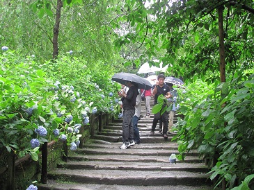 f:id:delibo5ext:20110612110558j:image f:id:delibo5ext:20110612110558j:image