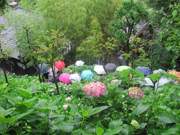 f:id:delibo5ext:20110612130035j:image f:id:delibo5ext:20110612130035j:image