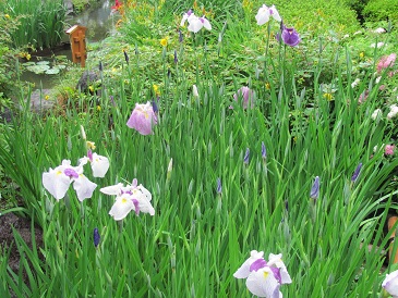 f:id:delibo5ext:20110612131621j:image f:id:delibo5ext:20110612131621j:image