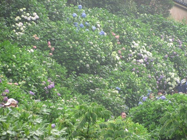 f:id:delibo5ext:20110612135052j:image f:id:delibo5ext:20110612135052j:image