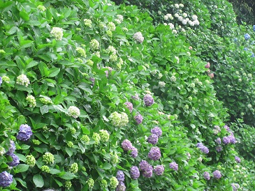f:id:delibo5ext:20110612135242j:image f:id:delibo5ext:20110612135242j:image