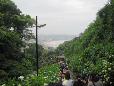 f:id:delibo5ext:20110612135451j:image f:id:delibo5ext:20110612135451j:image
