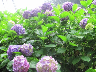f:id:delibo5ext:20110612135517j:image f:id:delibo5ext:20110612135517j:image