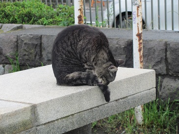 f:id:delibo5ext:20110612143647j:image f:id:delibo5ext:20110612143647j:image