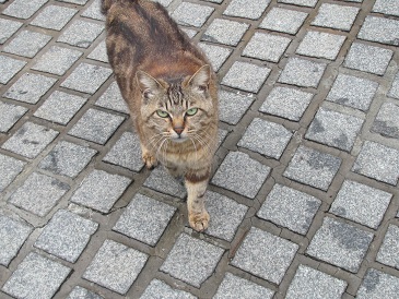 f:id:delibo5ext:20110612145944j:image f:id:delibo5ext:20110612145944j:image