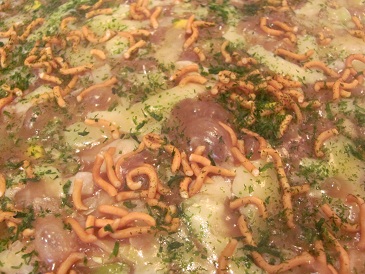 f:id:delibo5ext:20110703150726j:image f:id:delibo5ext:20110703150726j:image