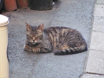 f:id:delibo5ext:20110703175809j:image f:id:delibo5ext:20110703175809j:image