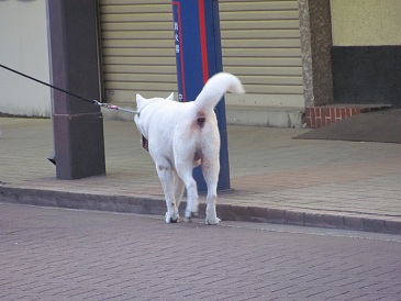 f:id:delibo5ext:20110703182637j:image f:id:delibo5ext:20110703182637j:image