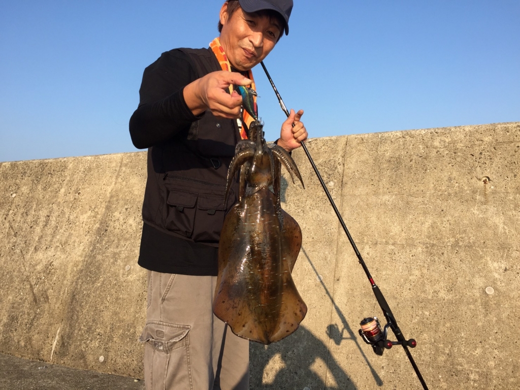 エギングin野母崎 秋の新子シーズン間近 初めてのポイントで返り討ちにされてきました エギングで呼子 唐津 平戸方面で活躍してる集団のブログ