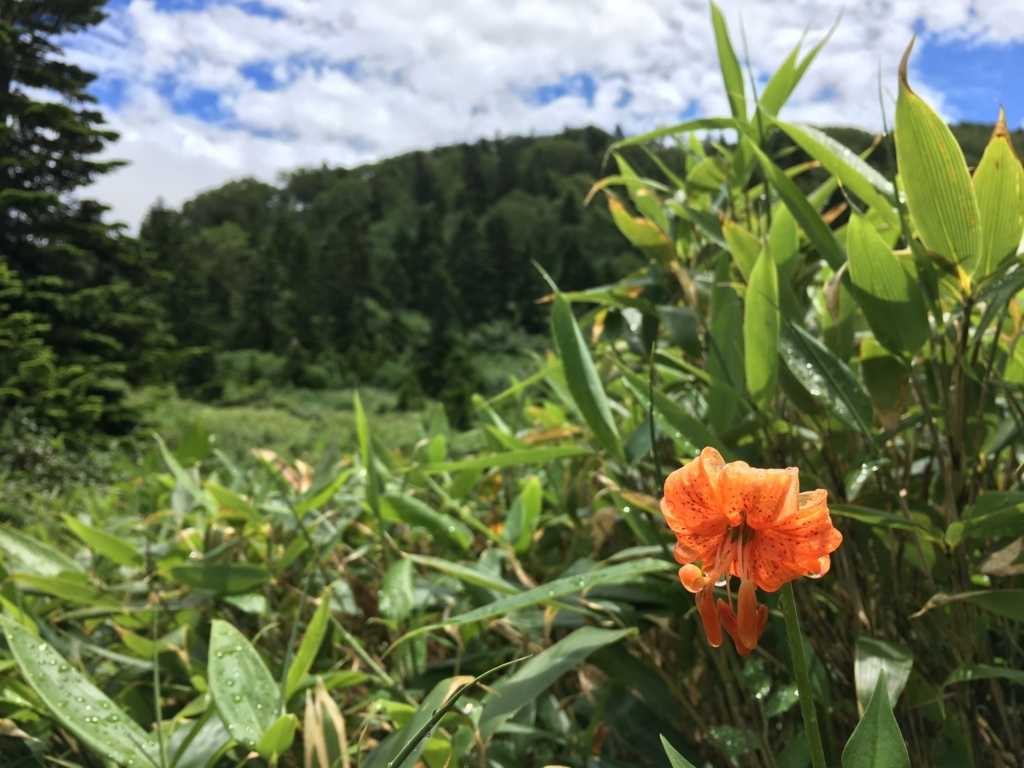f:id:delicojp:20170816163236j:plain f:id:delicojp:20170816163236j:plain