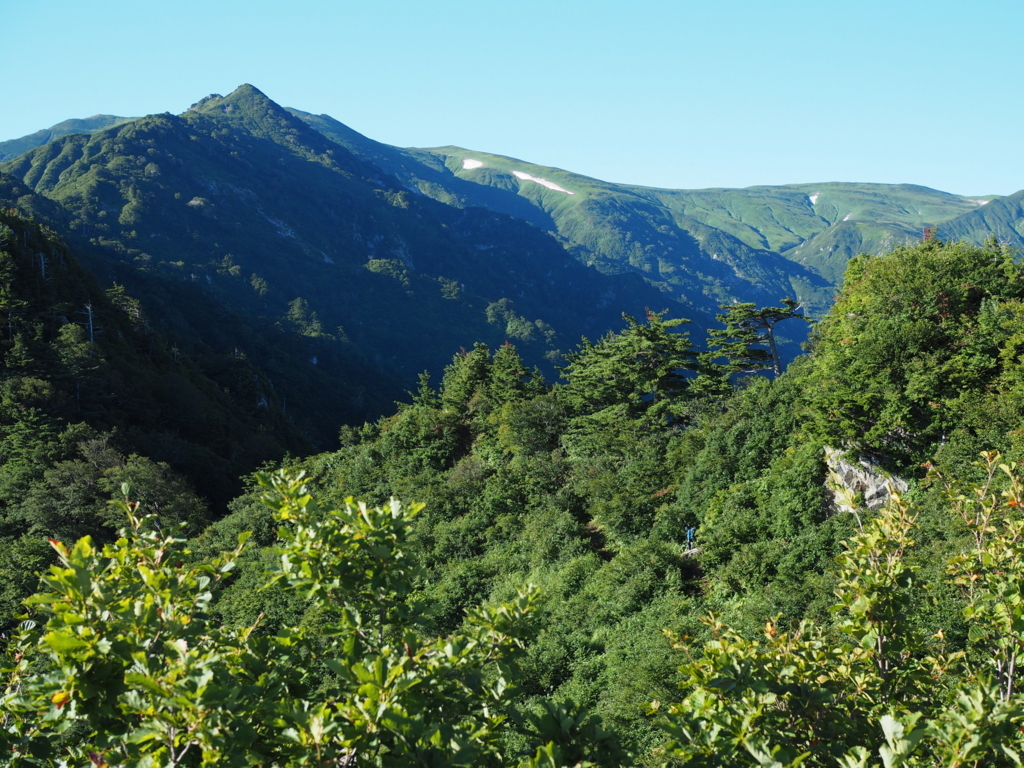 f:id:delicojp:20180814114320j:plain f:id:delicojp:20180814114320j:plain