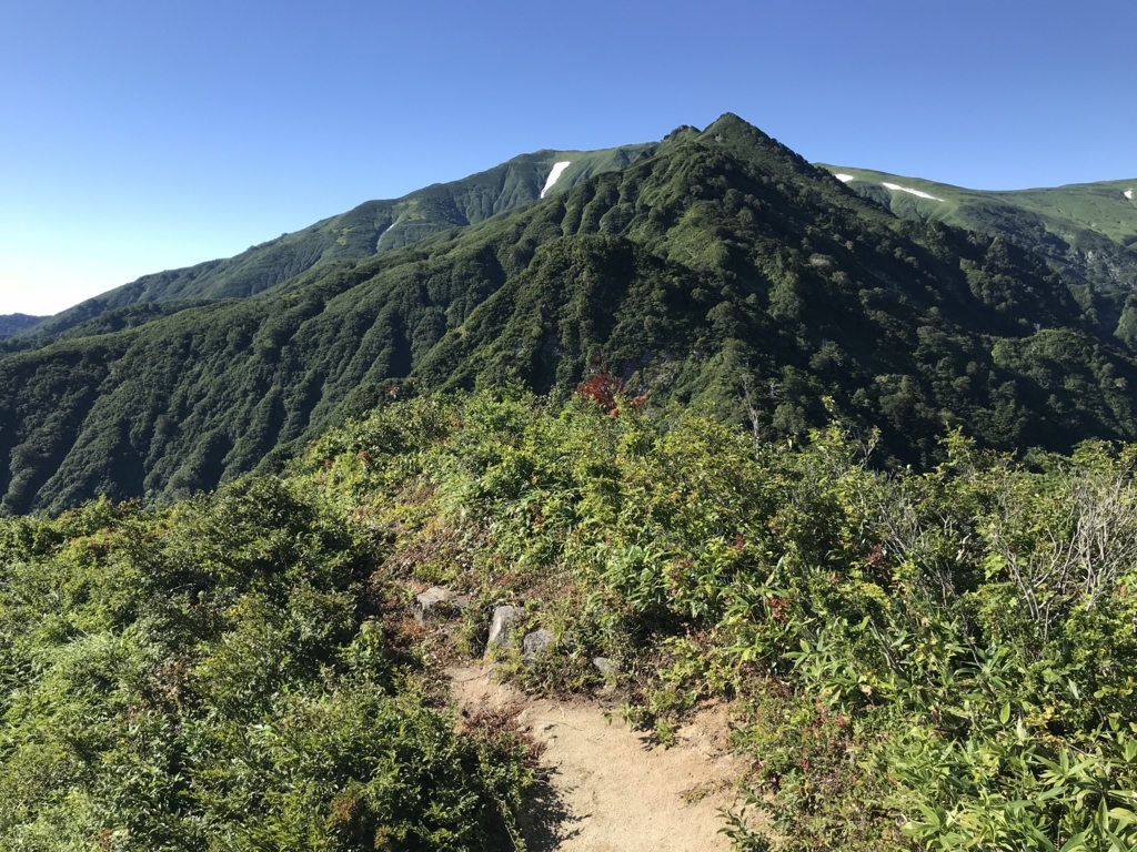 f:id:delicojp:20180814114431j:plain f:id:delicojp:20180814114431j:plain