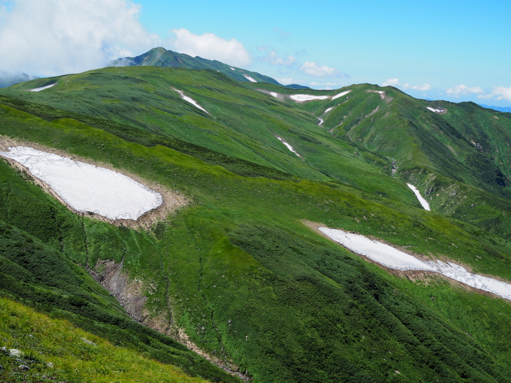 f:id:delicojp:20180814114717j:plain f:id:delicojp:20180814114717j:plain