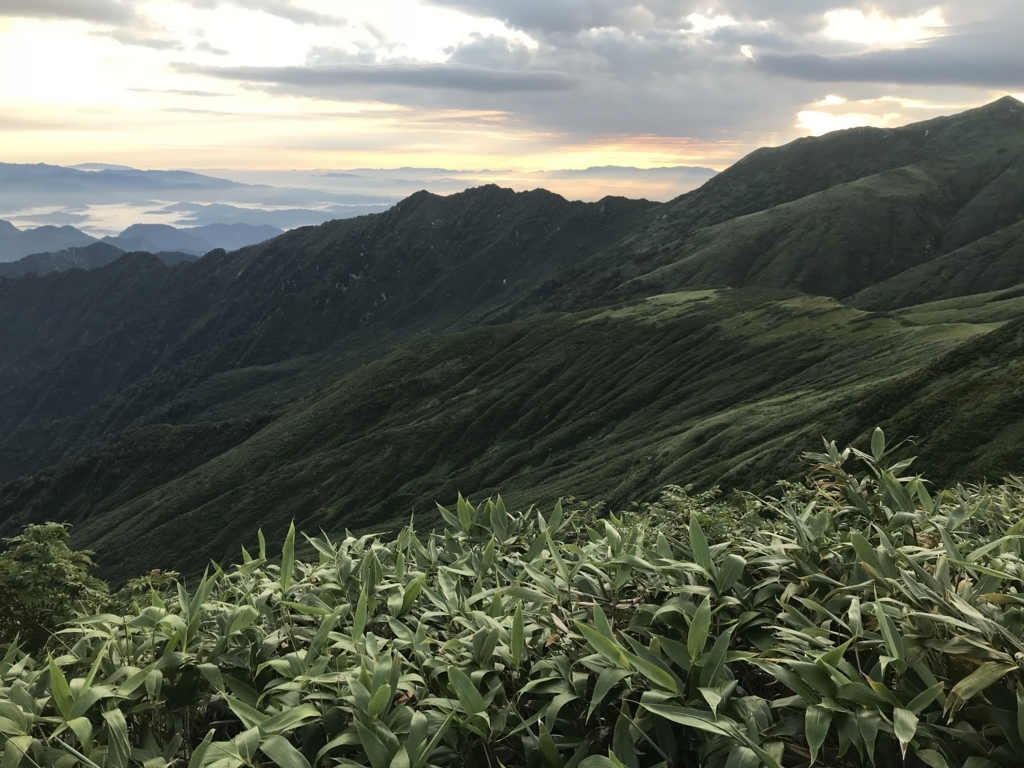 f:id:delicojp:20180814121440j:plain f:id:delicojp:20180814121440j:plain
