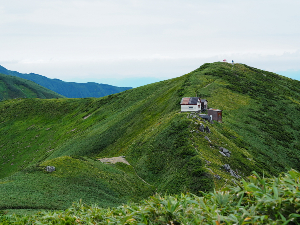 f:id:delicojp:20180814122813j:plain f:id:delicojp:20180814122813j:plain