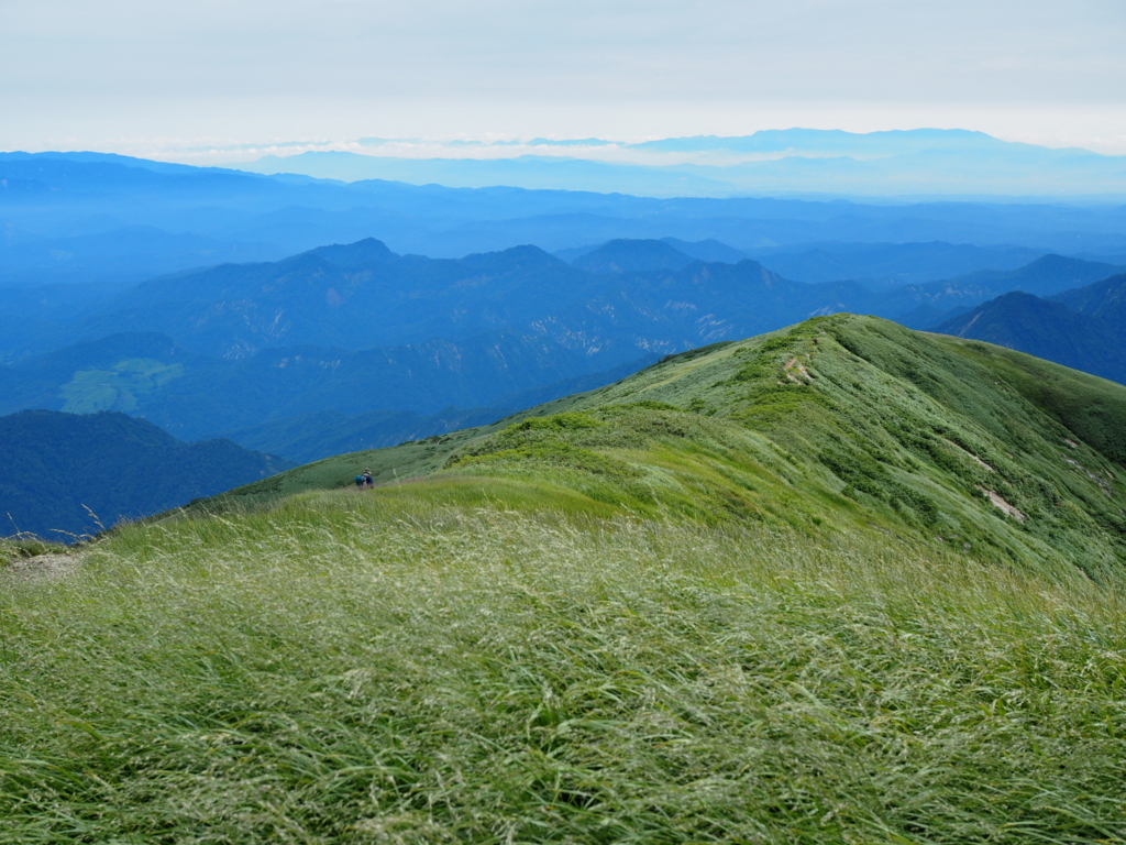 f:id:delicojp:20180814122927j:plain f:id:delicojp:20180814122927j:plain