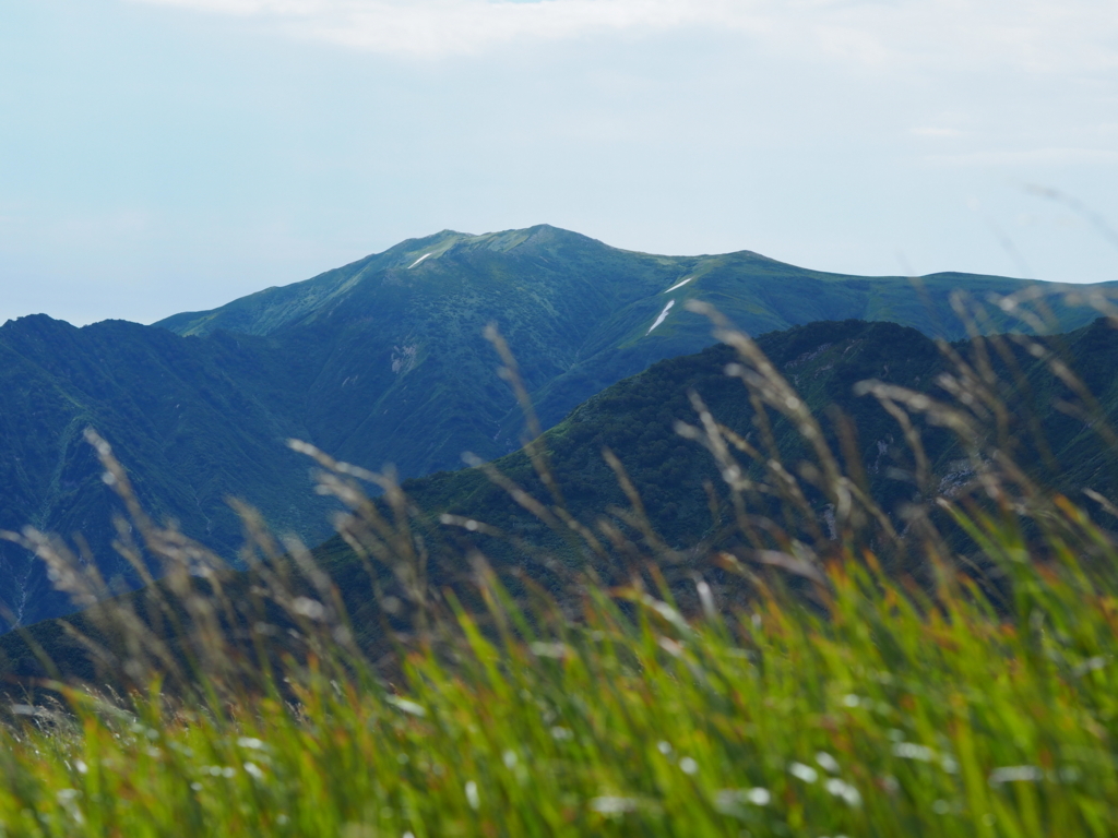 f:id:delicojp:20180814123027j:plain f:id:delicojp:20180814123027j:plain