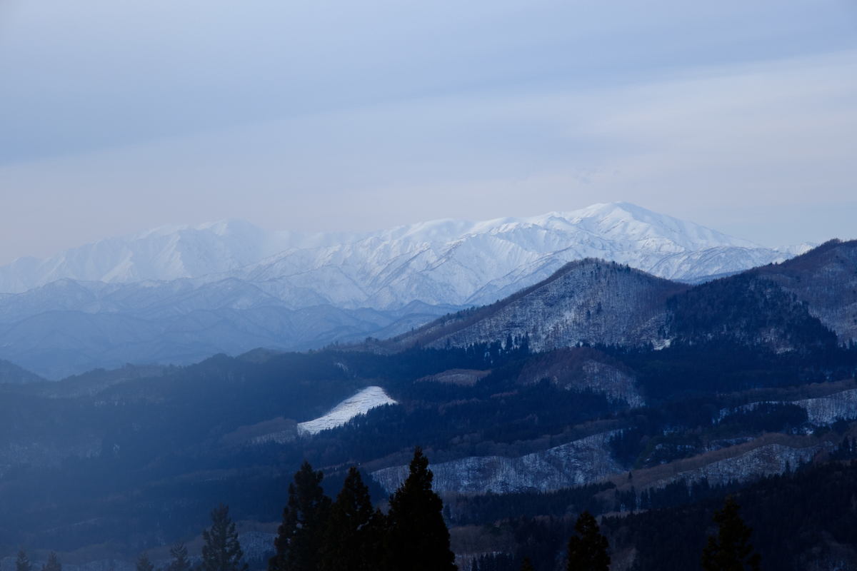f:id:delicojp:20201103104741j:plain