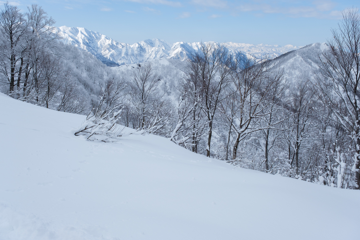 f:id:delicojp:20210221073613j:plain