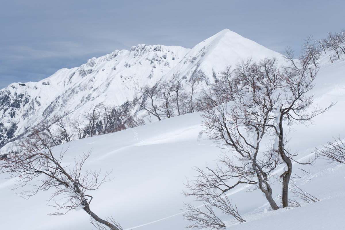 f:id:delicojp:20210221074027j:plain