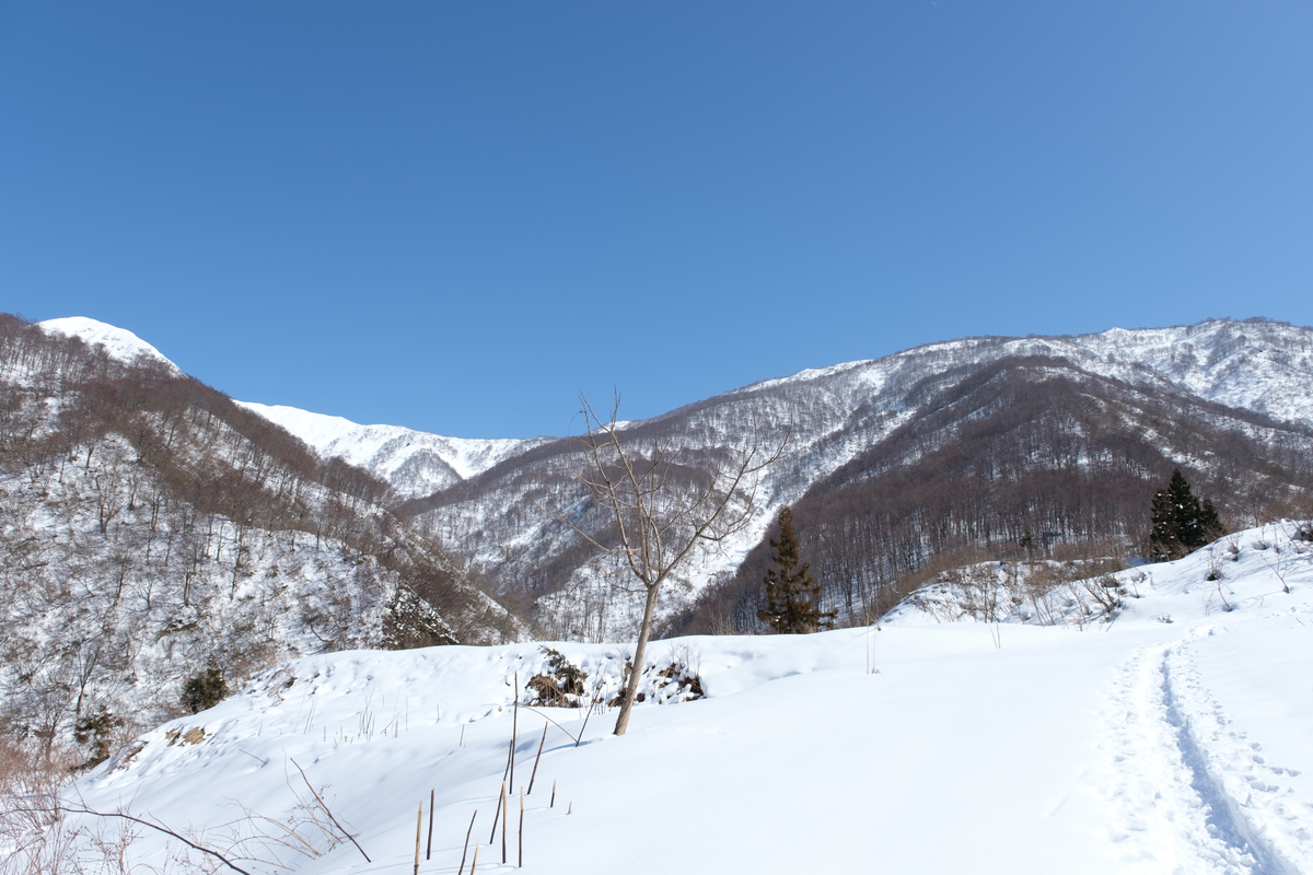 f:id:delicojp:20210221074045j:plain