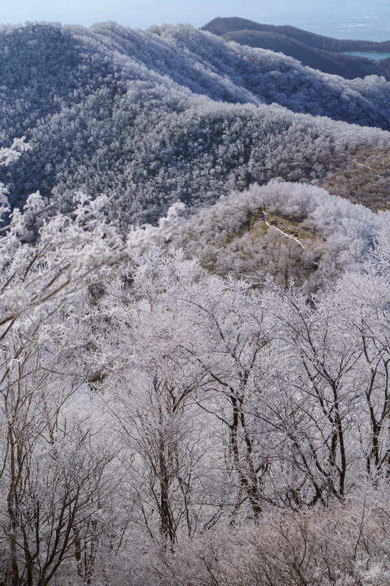 f:id:delicojp:20211206081755j:plain