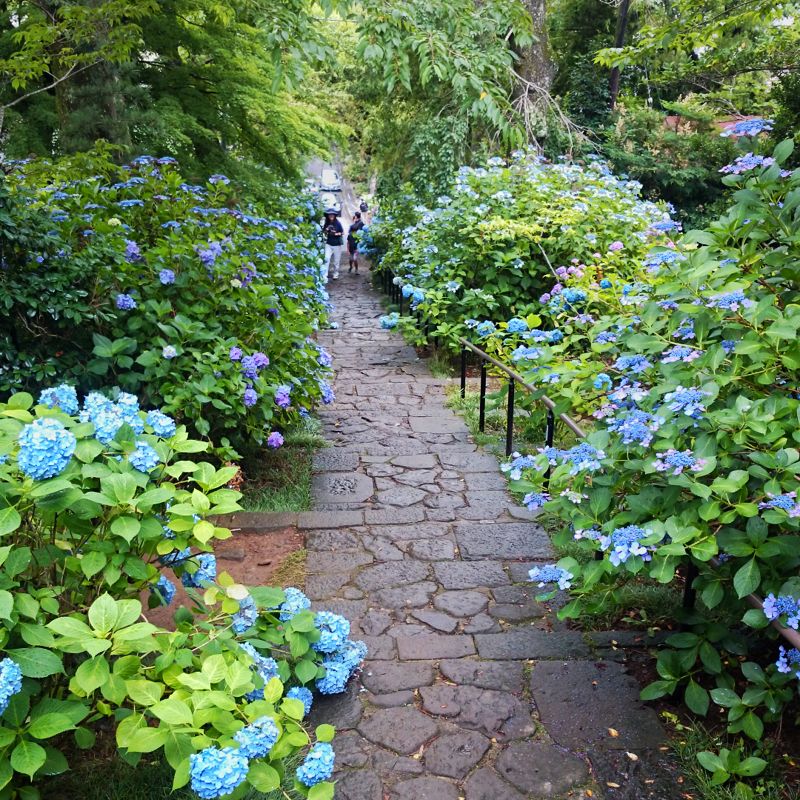 f:id:delizun:20180708170706j:image