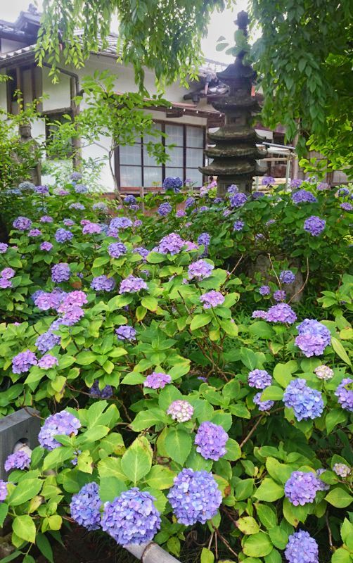 f:id:delizun:20180708170731j:image
