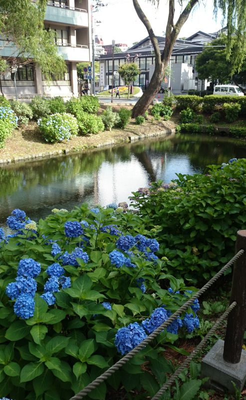 f:id:delizun:20180713125411j:image