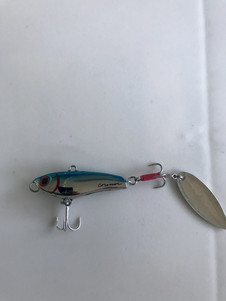 深場向け コアマン Pb かげまるの釣りチャンネルブログ