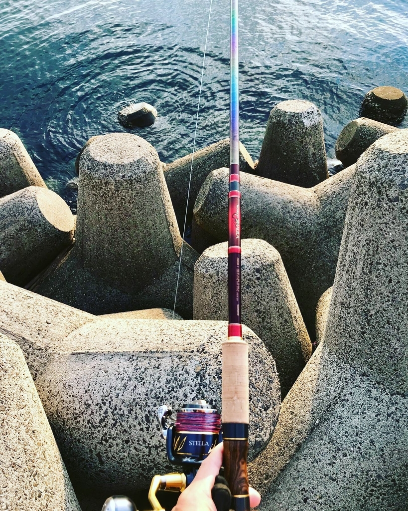 最強のスピニングリール! シマノ ステラSW 6000XG - かげまるの釣り ...