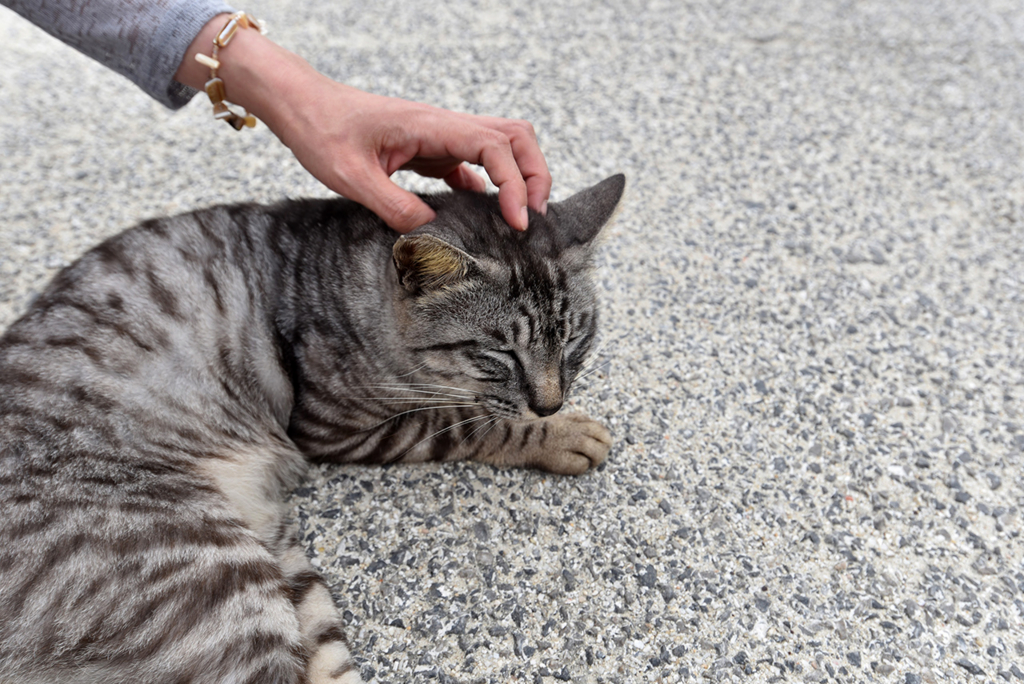 f:id:demcoe:20161221191458j:plain