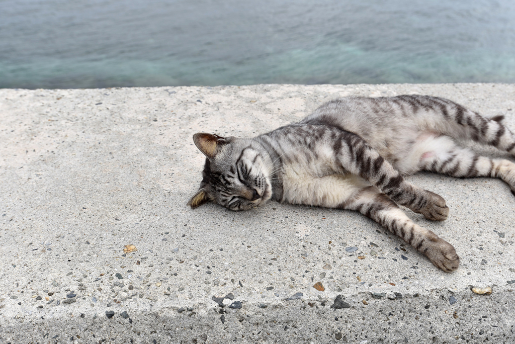 f:id:demcoe:20161221191510j:plain