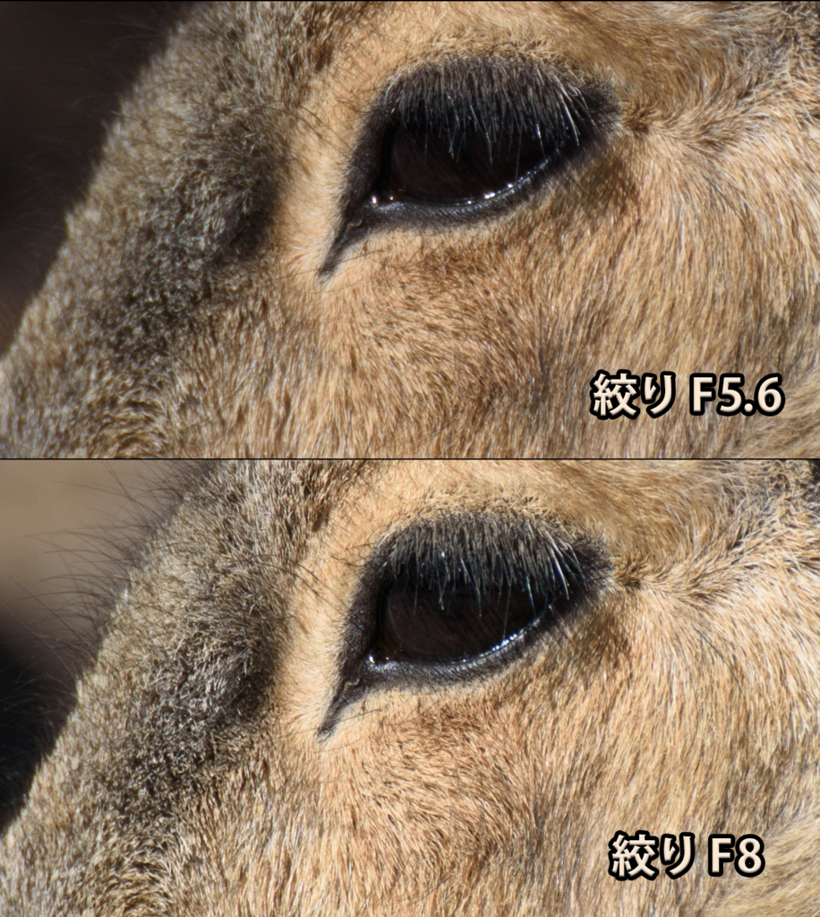 f:id:demcoe:20170102021736j:plain