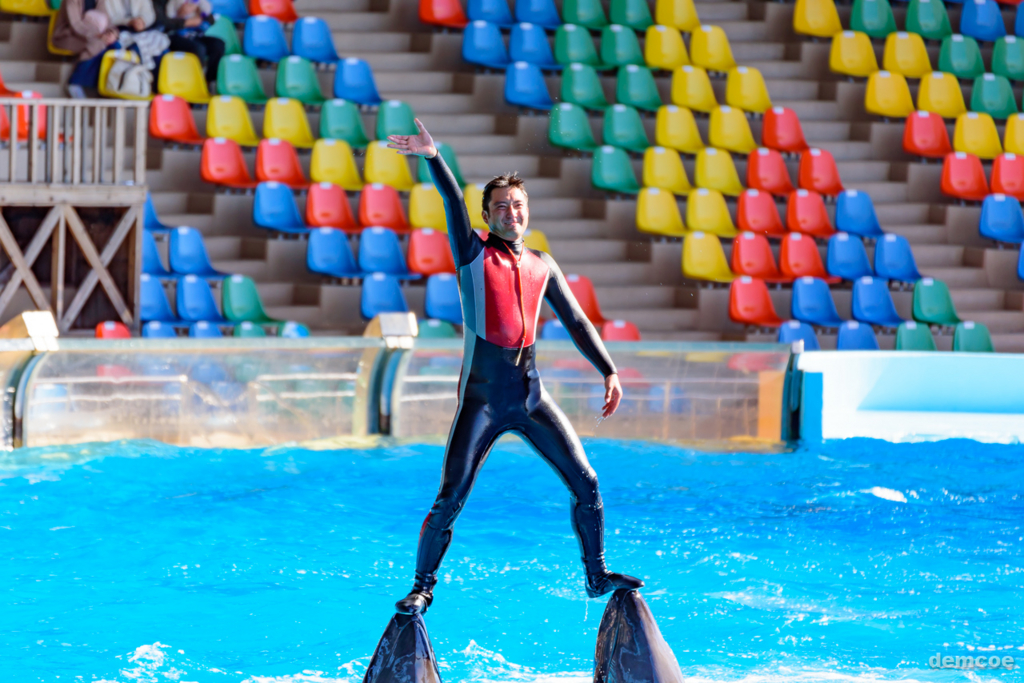 f:id:demcoe:20170106015335j:plain