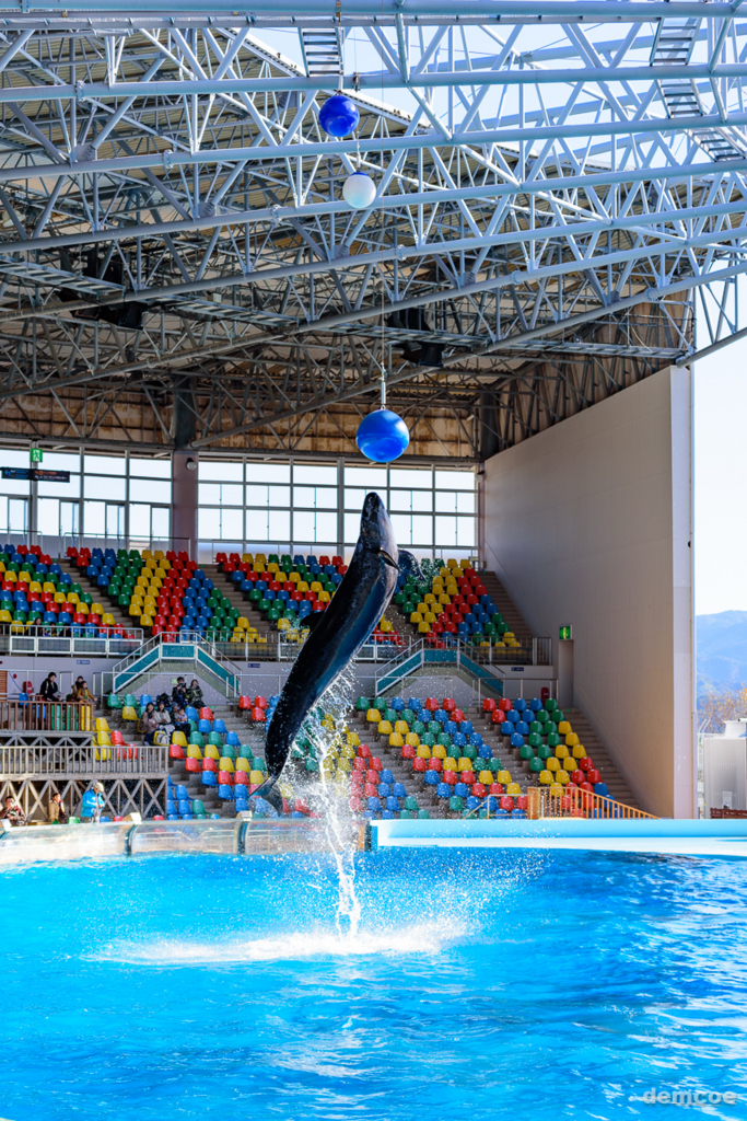 f:id:demcoe:20170106015820j:plain