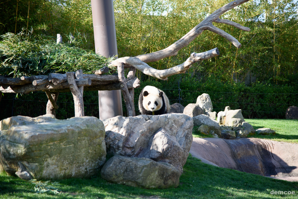 f:id:demcoe:20170106020903j:plain