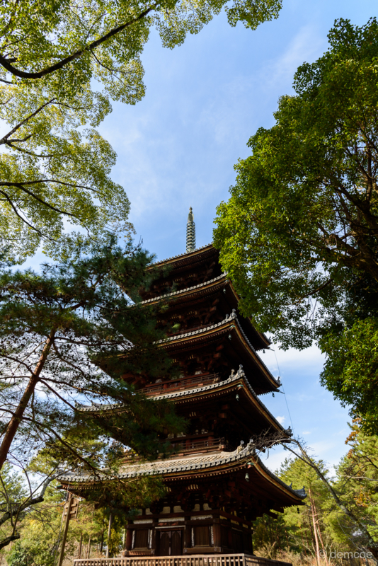 f:id:demcoe:20170307002756j:plain