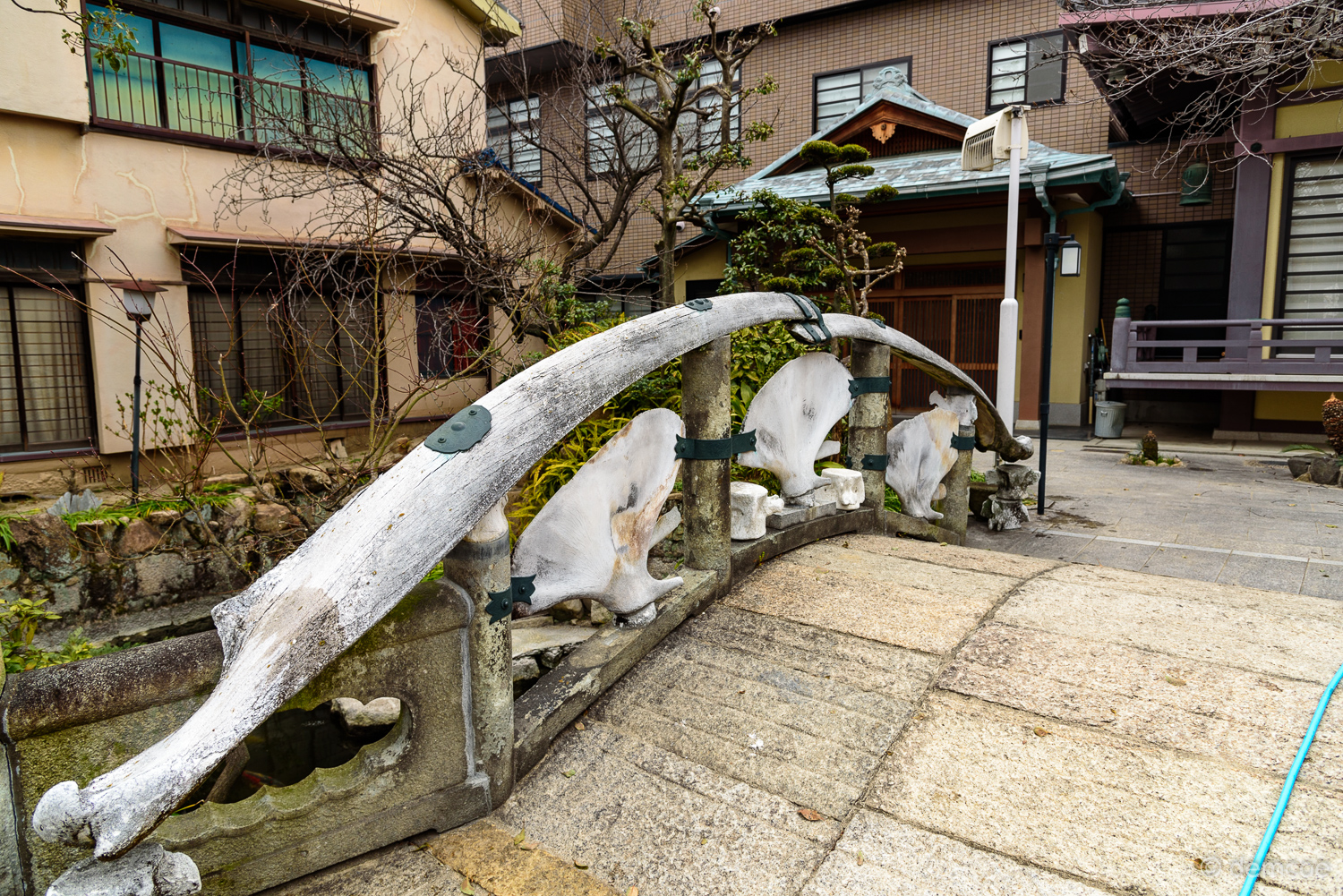 f:id:demcoe:20170318182521j:plain