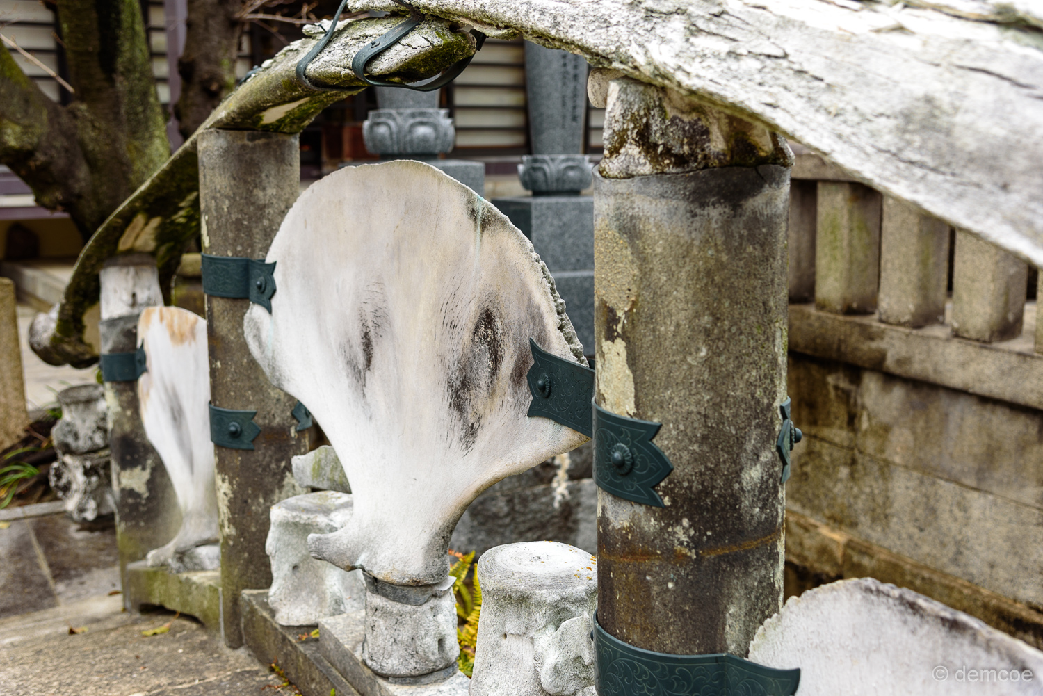 f:id:demcoe:20170318182523j:plain