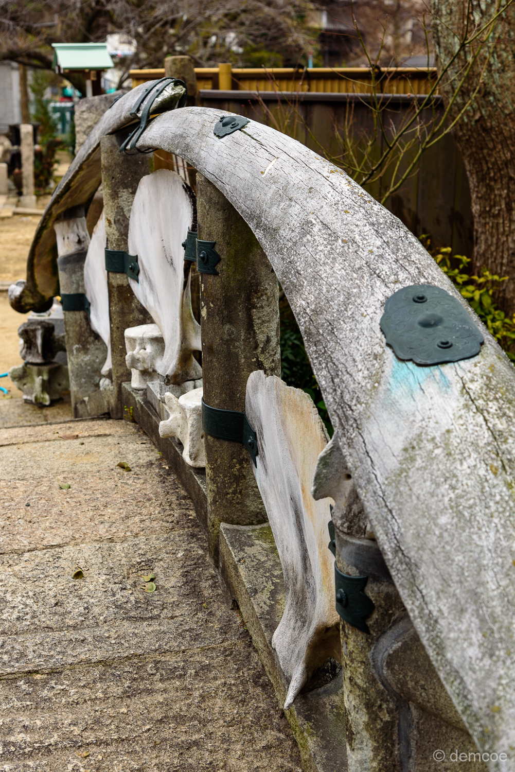 f:id:demcoe:20170318182525j:plain