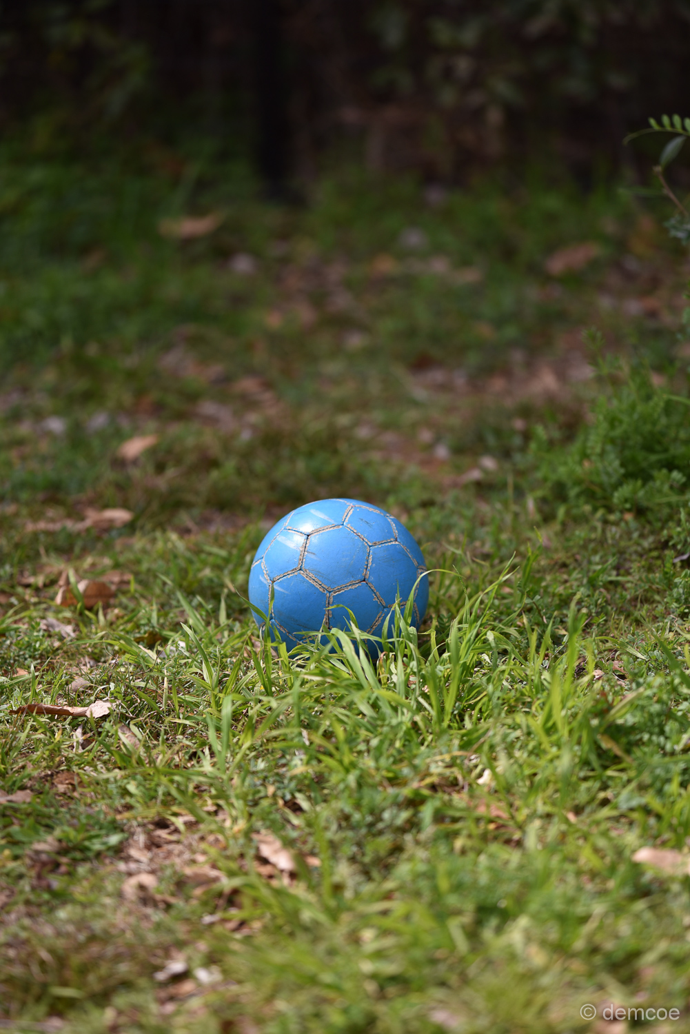 f:id:demcoe:20170325175946j:plain